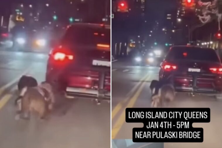 heartless-monster-drags-2-dogs-behind-car-in-front-of-shocked-nyc-bystanders,-disturbing-video-shows 