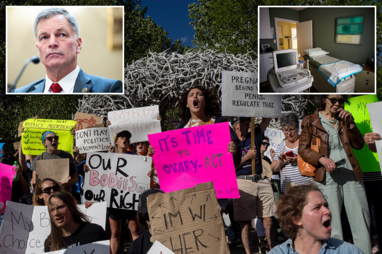 wyoming-supreme-court-rules-laws-restricting-abortion-violate-state-constitution