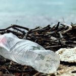 plastic-bottles-could-power-your-devices-one-day