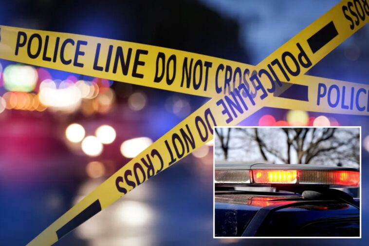 accused-killer-claims-he-heard-‘ai-voices’-before-hacking-his-grandmother-to-death:-cops