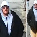 nyc-brute-arrested-for-randomly-bashing-man,-71,-with-shovel-—-days-after-stealing-ribeye-steak:-cops