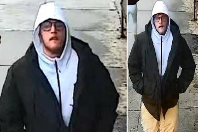 nyc-brute-arrested-for-randomly-bashing-man,-71,-with-shovel-—-days-after-stealing-ribeye-steak:-cops