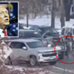ice-agent-who-shot-woman-in-minneapolis-hospitalized-after-being-hit-by-vehicle,-trump-says:-‘hard-to-believe-he-is-still-alive’