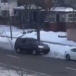 breaking:-woman-fatally-shot-by-ice-for-attempting-to-run-over-agent-identified