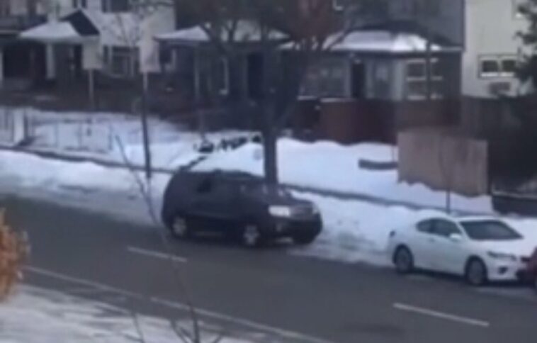 breaking:-woman-fatally-shot-by-ice-for-attempting-to-run-over-agent-identified