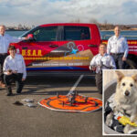 rescuers-use-drones-to-find-dog-that-escaped-along-the-new-jersey-turnpike