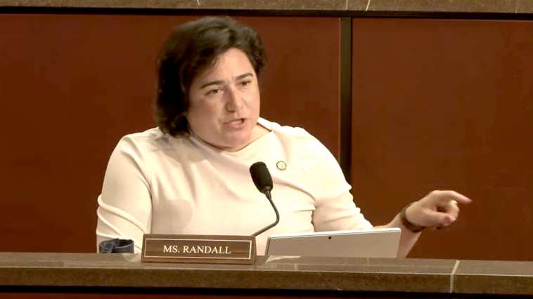 democratic-lawmaker-says-focus-should-be-on-‘white-men’-at-minnesota-fraud-hearing