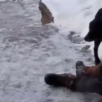 blood-soaked-wife-of-woman-shot-by-ice-agent-cries-‘i-made-her-come-down-here,-it’s-my-fault’-in-video-from-the-scene