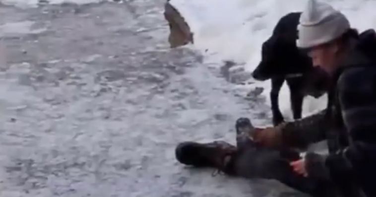 blood-soaked-wife-of-woman-shot-by-ice-agent-cries-‘i-made-her-come-down-here,-it’s-my-fault’-in-video-from-the-scene