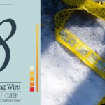 morning-brief:-ice-shooting-in-minneapolis,-us-seizes-oil-tankers-&-rfk-jr.-flips-food-pyramid