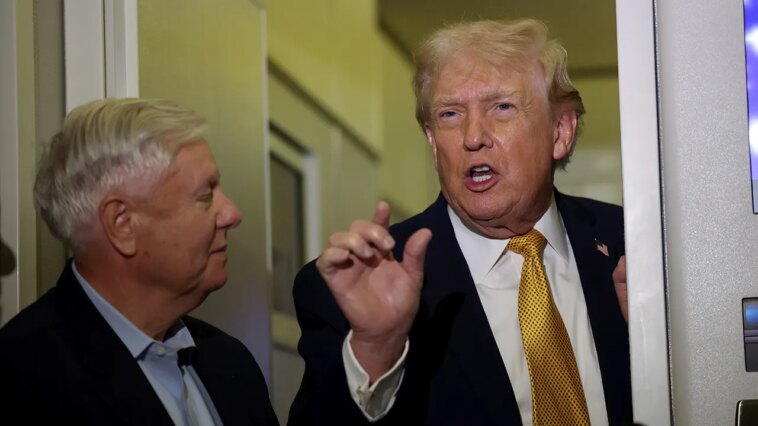 lindsey-graham-says-trump-backs-russia-sanctions-bill