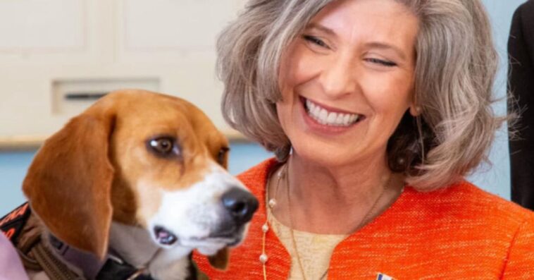 white-coat-waste-project-partners-with-republican-lawmakers-to-push-trump-admin-to-defund-nsf’s-cruel-animal-experiments