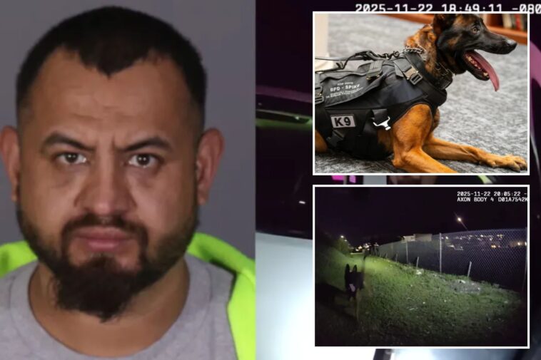 police-k-9-shot-and-killed-by-illegal-migrant-gangbanger,-harrowing-footage-shows