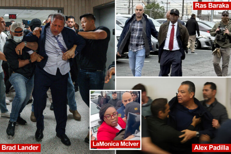 the-democrats-who-have-been-arrested-or-detained-over-anti-ice-aggression