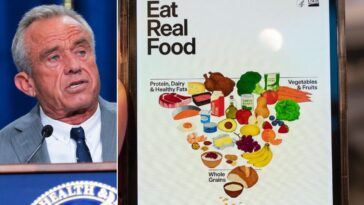 trump-admin-(literally)-turns-the-food-pyramid-on-its-head:-‘we-have-ended-an-era-of-medical-dogma’