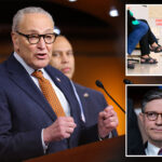 house-passes-obamacare-subsidies,-defying-gop-leaders-and-putting-pressure-on-senate