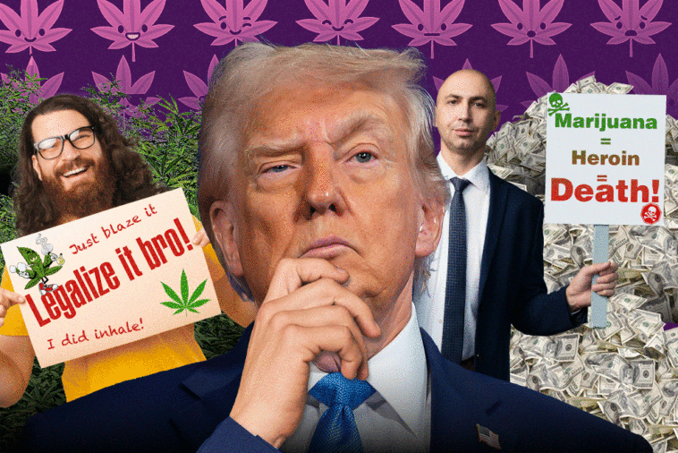 marijuana-industry-taking-fight-against-wall-street-blockades-straight-to-trump