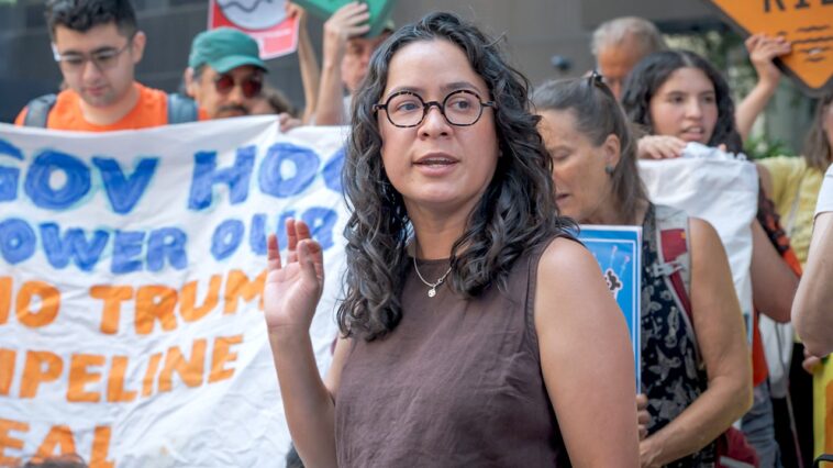 democratic-socialist-mamdani-ally-mounts-bid-for-us-house-of-representatives