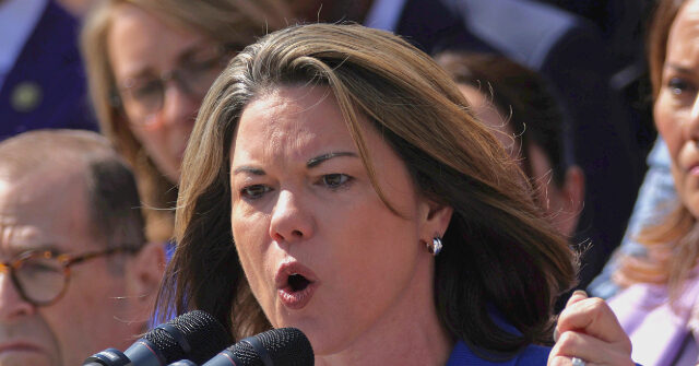 dem-rep.-craig:-shutting-down-government-over-ice-should-‘be-on-the-table’