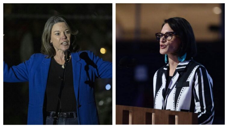 fraud-scandal-puts-minnesota-senate-seat-in-play-for-republicans