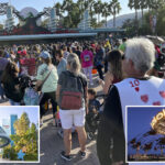 disneyland-kills-perk-loved-by-fans,-drawing-major-outrage-from-guests