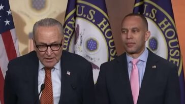 democrats-say-things-would-be-much-safer-if-law-enforcement-would-just-stop-trying-to-enforce-the-law