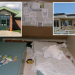 ny-kids-kept-in-state-solitary-confinement-for-months-without-toilets,-new-suit-claims:-‘barbaric’