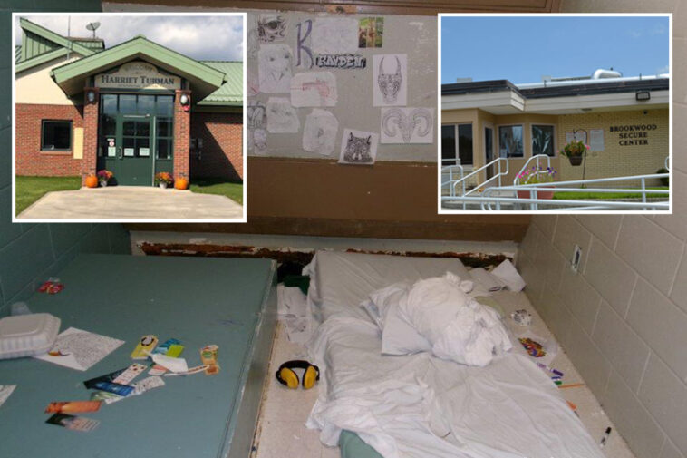 ny-kids-kept-in-state-solitary-confinement-for-months-without-toilets,-new-suit-claims:-‘barbaric’