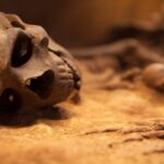 hands,-feet,-and-hundreds-of-bones-found-in-pennsylvania-man’s-basement-and-storage-unit