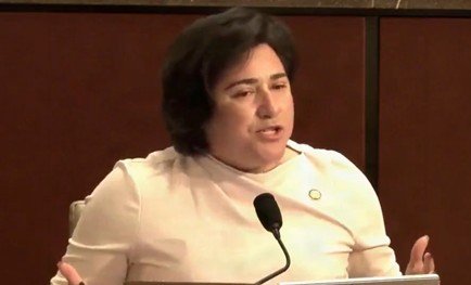 democrat-congresswoman-launches-an-outrageous-smear-against-white-men-during-hearing-on-somali-fraud-(video)