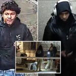 nyc-teen-stabbed-in-neck,-killed-after-dispute:-‘what-a-sin’