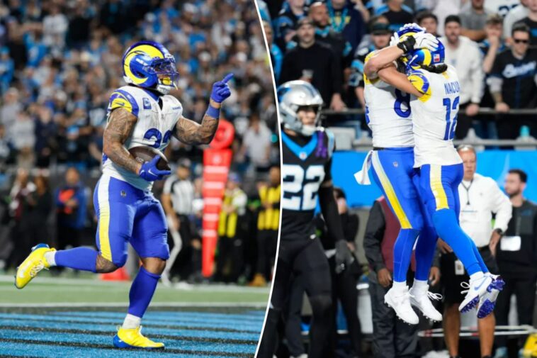 rams-rally-past-panthers-to-win-nfc-wild-card-round-thriller