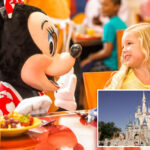disney-quietly-changes-course-on-controversial-meal-plan-changes