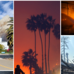 cauffiel:-fire,-wind,-and-incompetence-destroyed-more-than-brick-and-mortar-in-los-angeles