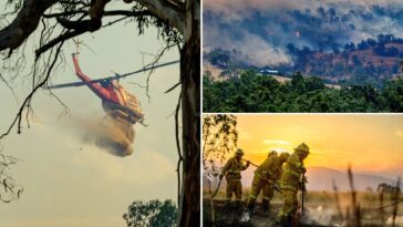 human-remains-found-during-australia’s-raging-bushfires