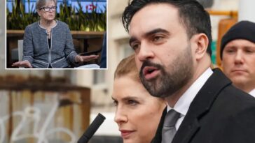 zohran-mamdani’s-team-treating-nyc-businesses-as-‘the-enemy’-in-early-goings,-top-leader-says