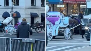 wild-video-shows-spooked-nyc-carriage-horse-running-into-midtown-traffic:-‘reckless-endangerment’