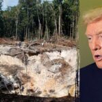 expert-warns-of-‘extreme-violence’-in-venezuelan-mining-as-trump-admin-eyes-mineral-reserves