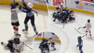 youth-hockey-players-get-into-wild-brawl-during-game-at-ahl-rink
