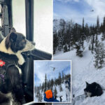 two-snowmobilers-killed,-two-rescued-after-avalanche-in-remote-washington