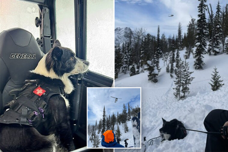 two-snowmobilers-killed,-two-rescued-after-avalanche-in-remote-washington