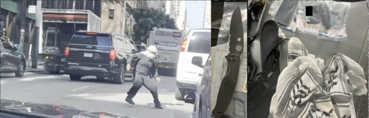 the-violence-and-chaos-comes-from-activists,-not-ice