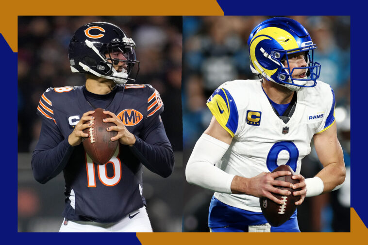 how-much-are-the-cheapest-bears-rams-nfl-playoffs-divisional-round-tickets?