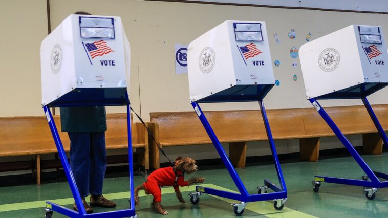 delegate-heavy-new-york-moves-to-shake-up-voting-primary-schedule,-chasing-‘influence’