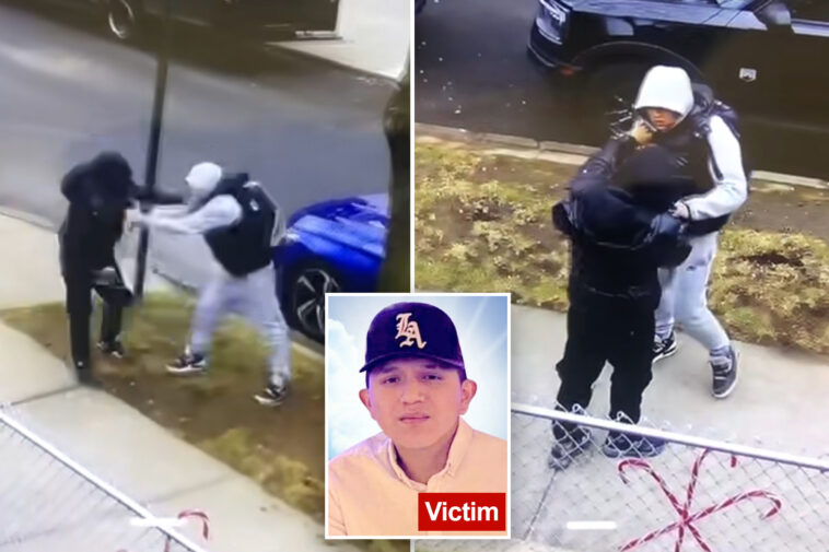 teen-charged-in-fatal-nyc-stabbing-of-17-year-old-boy-had-just-been-cut-loose-without-bail-in-gang-assault-case:-da