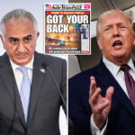 exiled-iranian-prince-says-uprising-‘wouldn’t-exist’-without-trump-pressure,-foresees-economic-reboot-if-regime-falls