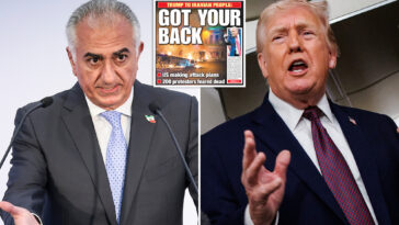 exiled-iranian-prince-says-uprising-‘wouldn’t-exist’-without-trump-pressure,-foresees-economic-reboot-if-regime-falls