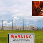 3-dead,-14-injured-in-massive-georgia-prison-brawl
