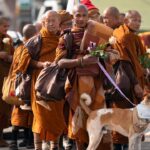 buddhist-monks-walking-2,300-miles-from-texas-to-dc-go-viral-with-1m+-social-media-followers