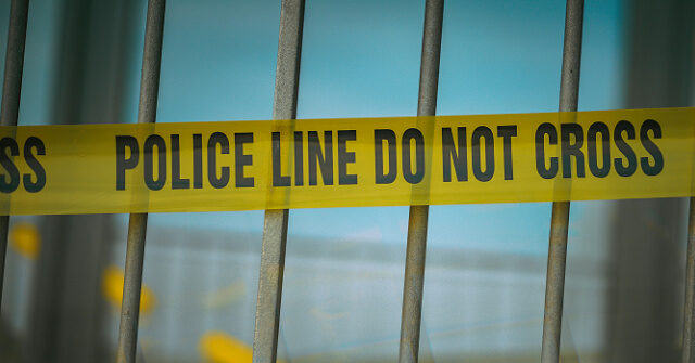 chicago:-at-least-13-shot-over-second-weekend-of-2026